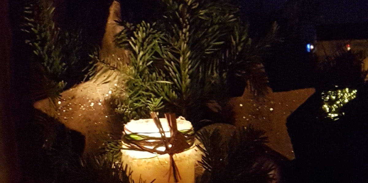 WEDO Figaro Dresden Barber Youngstyle